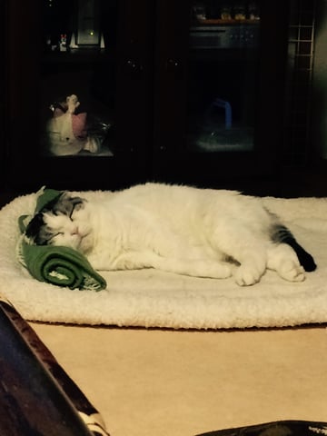 マッサージみたいに気持ち良い。