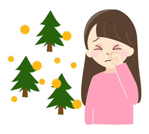 この時期の花粉について