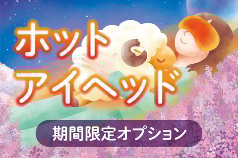 12/27（金）本日の空き状況＆オススメコース♪