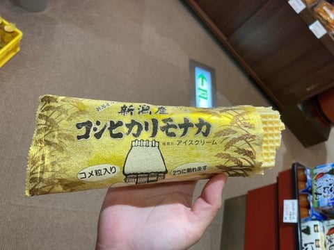 【Echika表参道店】新潟帰省🍦