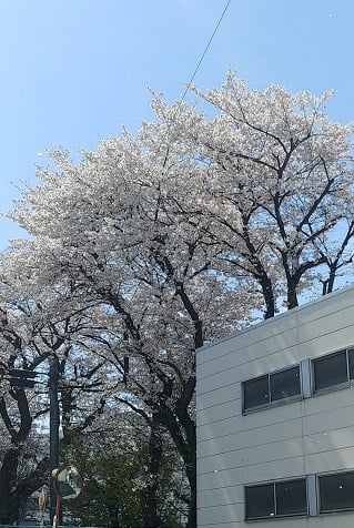 本日の玉学店＆空き時間のご案内です♪