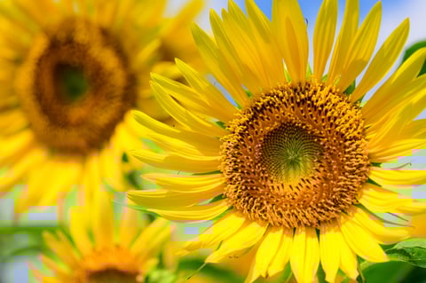 【大井町駅前店】本日の空き状況のお知らせ☆