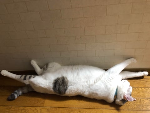 意外と難しい脱力