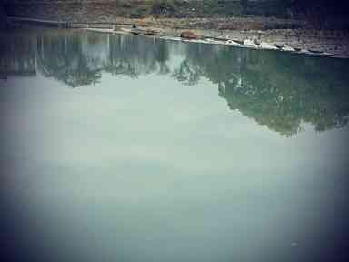 川沿いをサイクリング♪