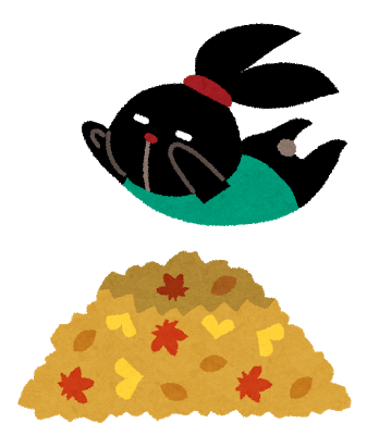 10月が始まりましたね！