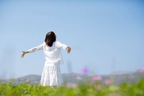 2匹の猫ちゃんたち