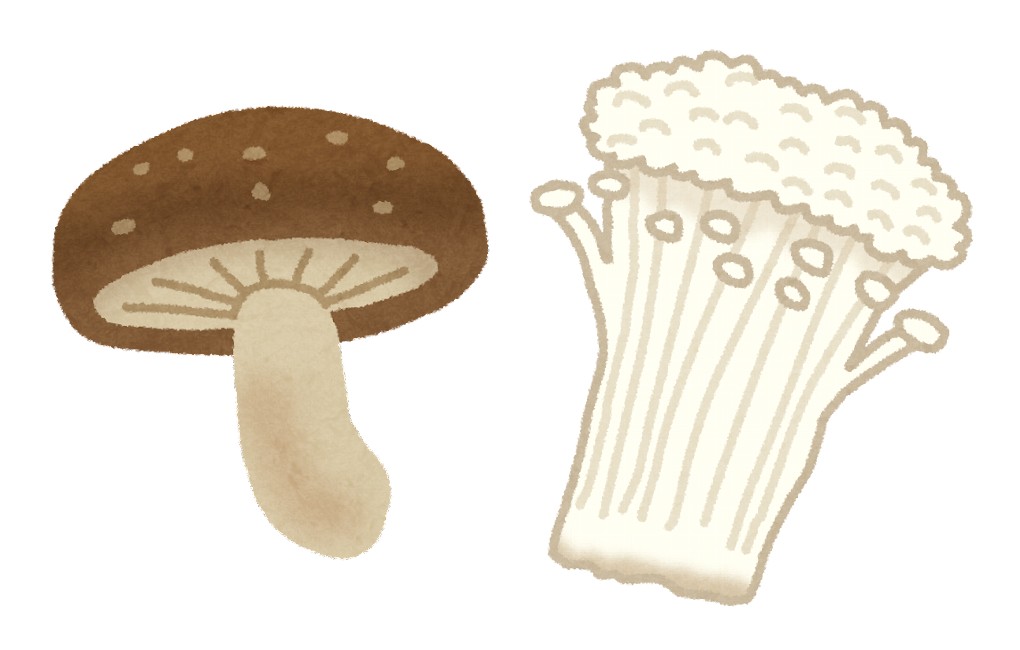 今日は何の日？