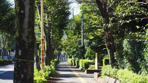 入間市のこと、シェアしましょう(^^♪