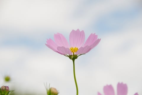 そろそろ冬でしょうか