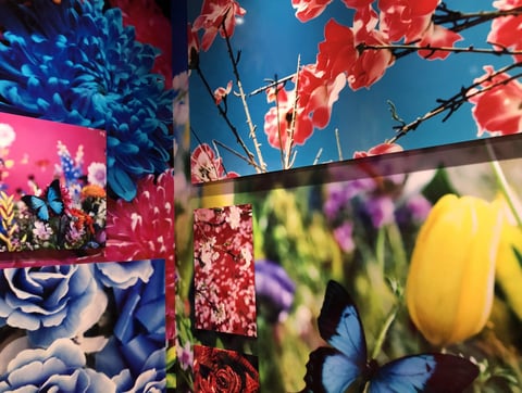 【Echika表参道店】作品展