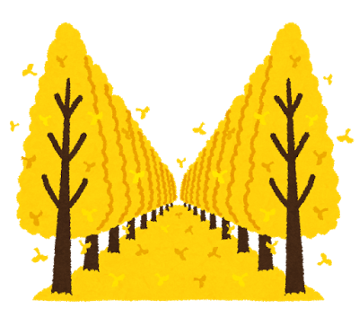 11/6(月)本日のご案内状況☆