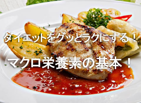 【健康コラム】　～ダイエットがグッと楽になるマクロ栄養の知識。基本から実際の摂取バランスまで～