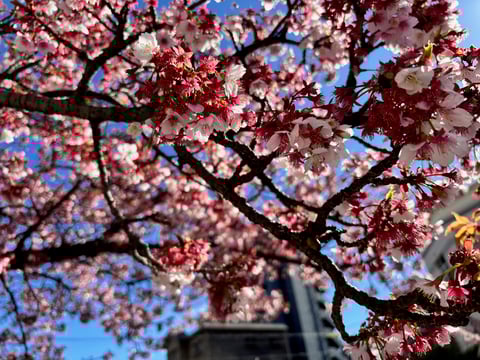 ３/１０（月）本日のおすすめメニュー【大宮西口店】