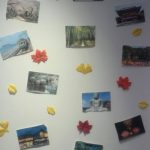 リラク鎌倉店の紅葉🍁