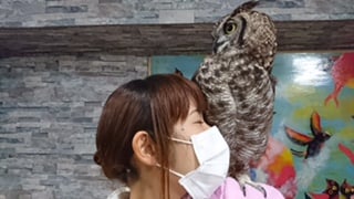 癒しのひと時　光が丘IMA店