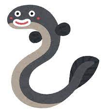 鰻、ビタミンたくさんなんですね＾＾