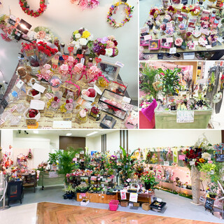 心和む植物たち