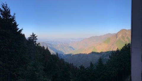 冬の奥秩父と春の六義園