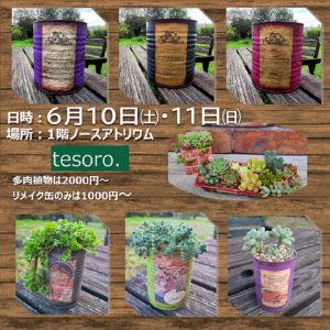 リメイク缶多肉植物