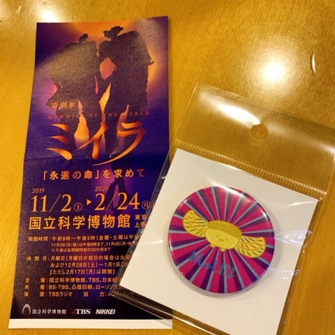 ミイラ展　光が丘IMA店