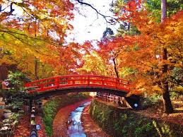 10月25日（木）本日の空き情報♪