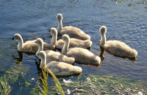 春を感じますよ♪