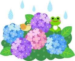 季節ｘ花＋楽しみ＝紫陽花