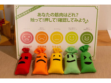 本日のご案内☆