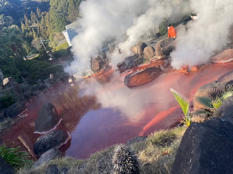 元旦にお出かけしてきました！