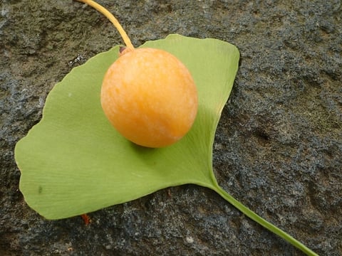 11/11（火）本日の空き情報♪【大宮西口店】