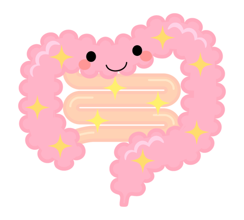 腸活してますか？