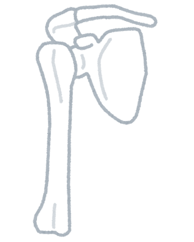 肩甲骨の話part7　(‘◇’)ゞ　Re.Ra.Ku北浦和店