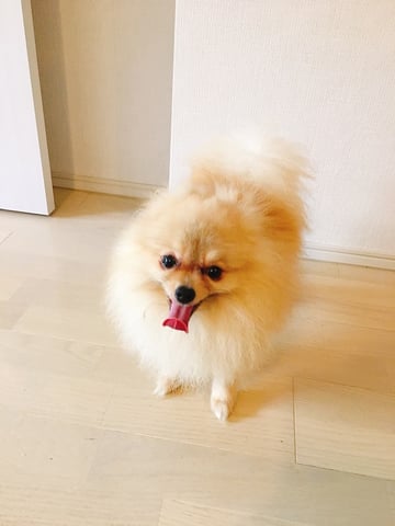 今までありがとうございました！