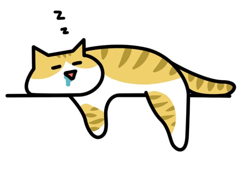 普段の生活は脱力で