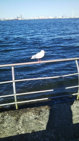 彼は何を考えているのか・・・