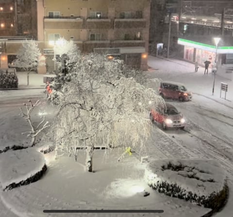 久しぶりの雪景色はとても綺麗でした♪