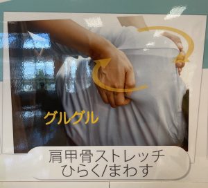 肩甲骨ストレッチで髪も健康に(^^)