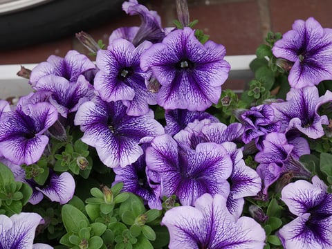 8/16日(水)の空き状況