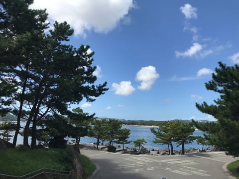 また夏ですね。