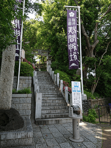 心身のストレスの緩和、いざお散歩へ！