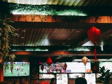 落ちついてきました・・。