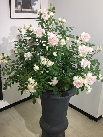 良く晴れた冬の一日