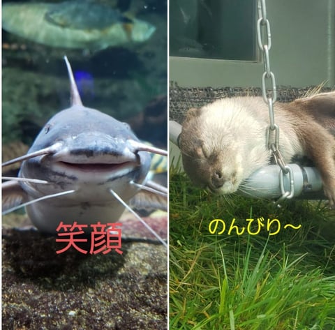 ストレス対策✊