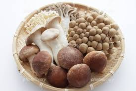 花粉症対策を！！