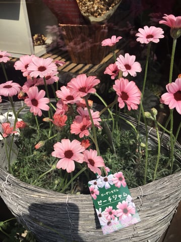 3.25　読書の春！