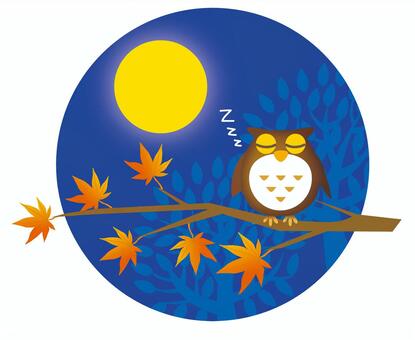 睡眠の質向上
