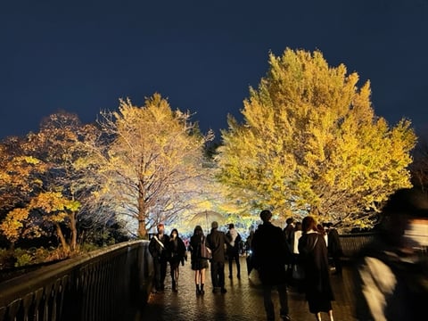 【Echika表参道店】紅葉🍁