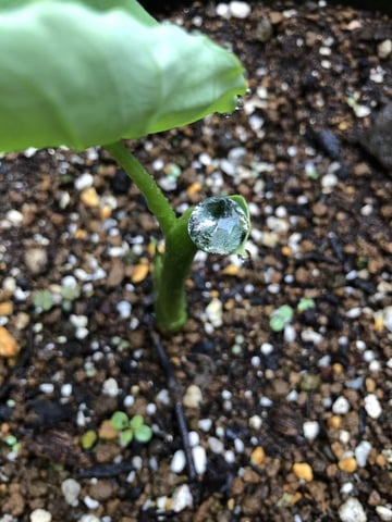 リラク池上店　6月5日の空き状況