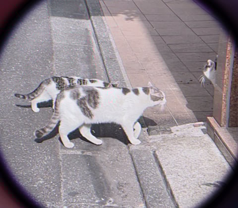 足のお悩みとなる筋肉は？