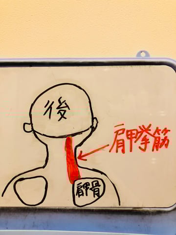 気になる肩周りの疲れってどこからくるの？